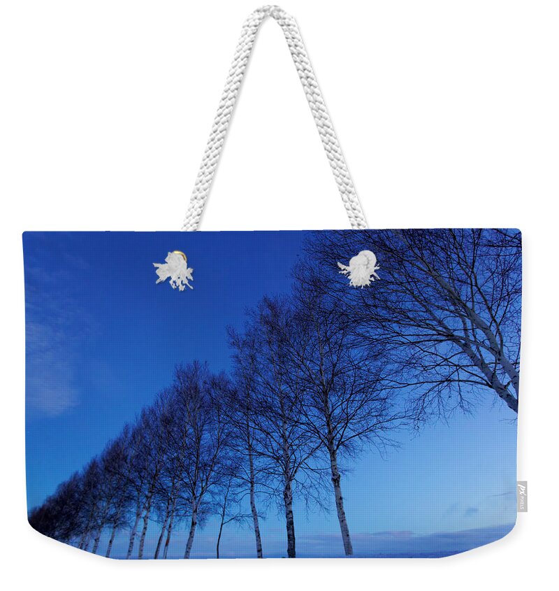 Tranquility Weekender Tote Bag featuring the photograph Roadside Trees by Atsushi Hayakawa