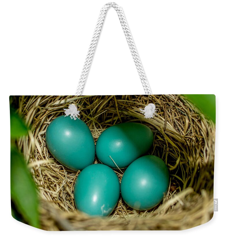 Robins Eggs Weekender Tote Bag featuring the photograph Robin Eggs by Ernest Echols
