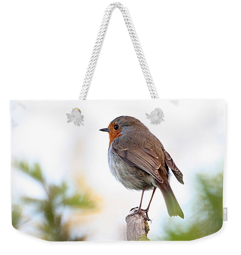 Canon Weekender Tote Bag featuring the photograph Robin on a Pole by Jeremy Hayden