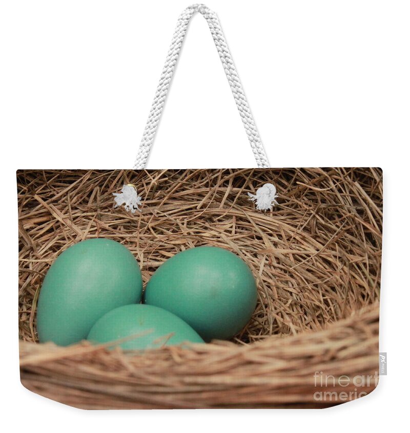 Robin Weekender Tote Bag featuring the photograph Robins three blue eggs by Jennifer E Doll