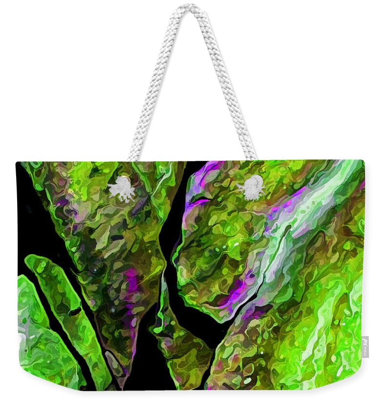 Nature Weekender Tote Bag featuring the digital art Rock Art 20 by ABeautifulSky Photography by Bill Caldwell
