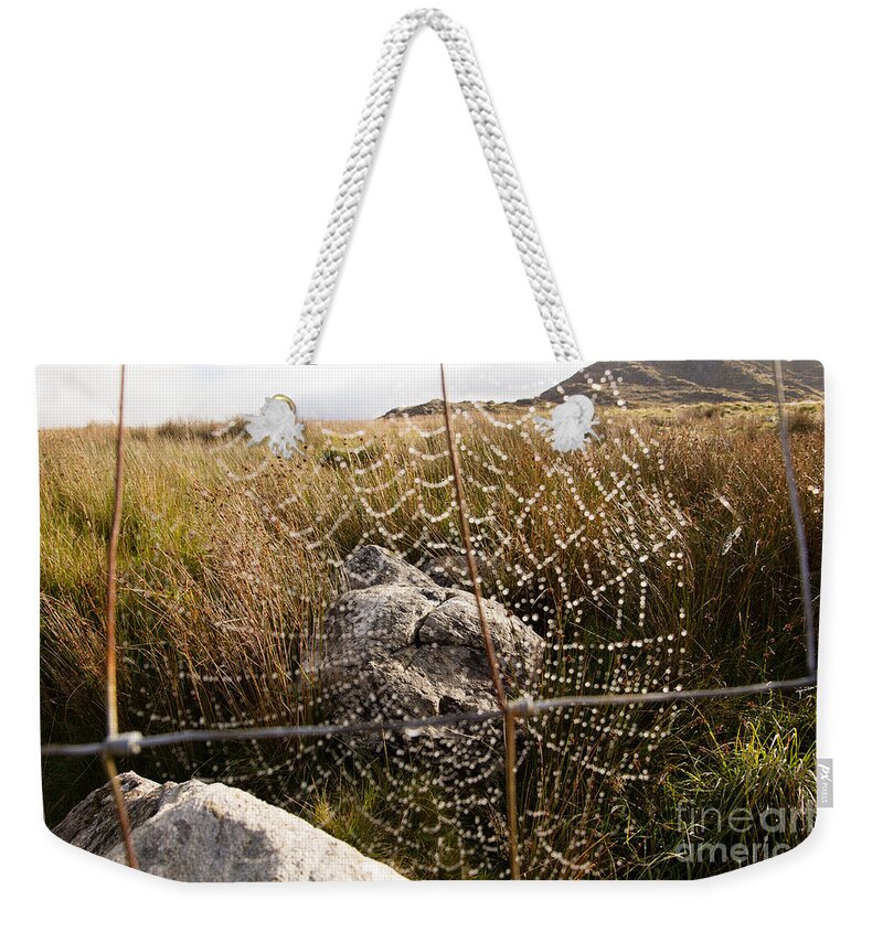 Europe Weekender Tote Bag featuring the photograph Rock in a web by Agnes Caruso