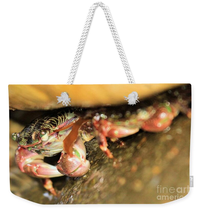 Rabs Weekender Tote Bag featuring the photograph Rocky Home by Adam Jewell
