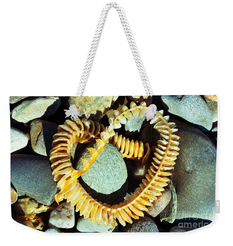 Rock Weekender Tote Bag featuring the photograph Rocky Love Note by Kevin Fortier