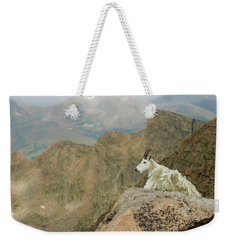 Horned Weekender Tote Bag featuring the photograph Rocky Mountain Goat by Robin Wilson Photography