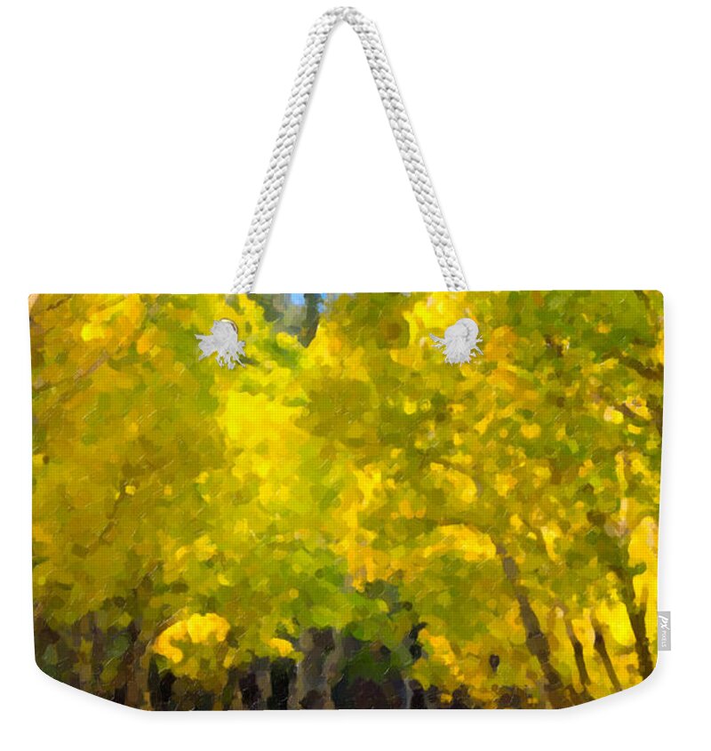 Colorado Weekender Tote Bag featuring the photograph Rocky Mountain Hike by Karen Lee Ensley