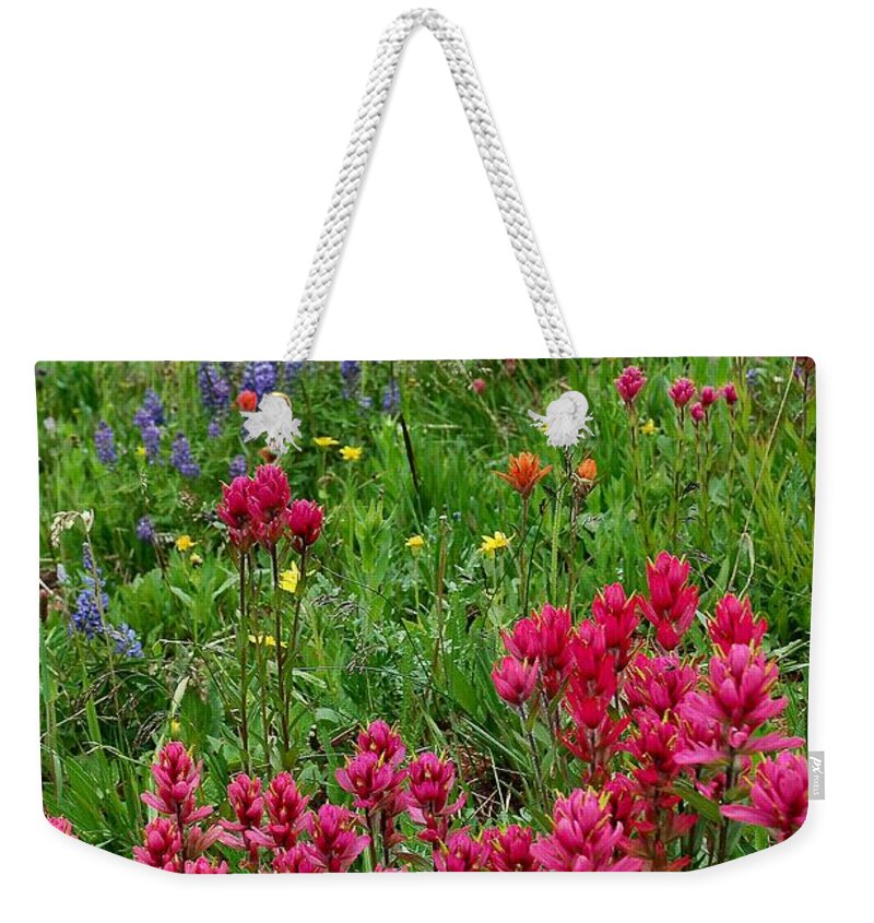 Wildflower Weekender Tote Bag featuring the photograph Rocky Mountain Wildflowers by Lynn Bauer