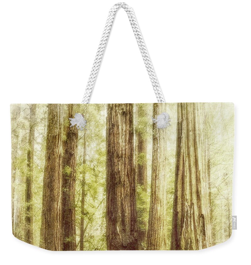 Giant Redwood Trees Muir Woods Weekender Tote Bag featuring the mixed media Romantic forest Muir Woods National Monument California by Marianne Campolongo