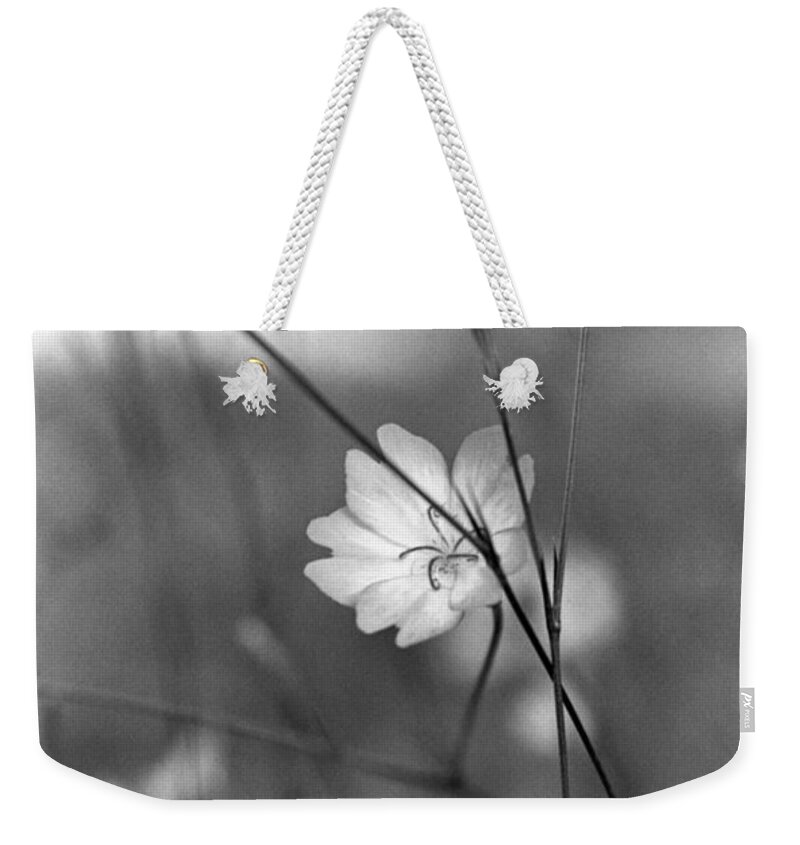 Floral Weekender Tote Bag featuring the photograph Rose Angel by Caitlyn Grasso