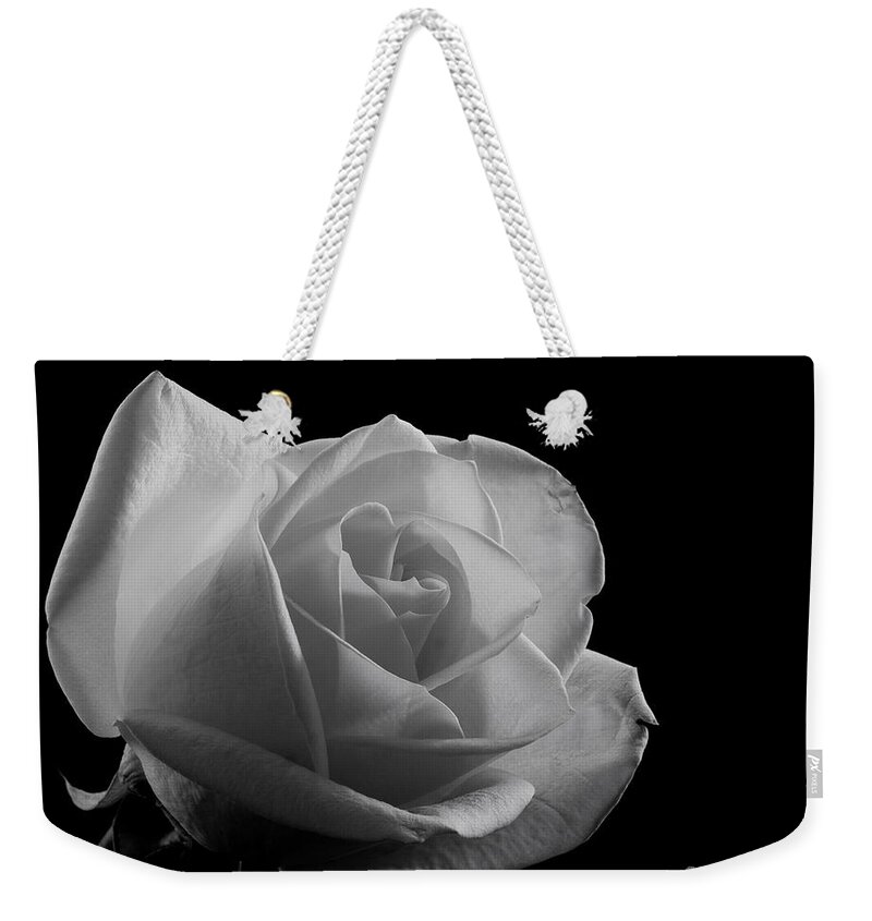 Sandra Clark Weekender Tote Bag featuring the photograph Rose by any Other Name by Sandra Clark