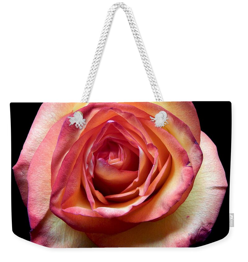 Flowers Weekender Tote Bag featuring the photograph Rose II Still Life Flower Art Poster by Lily Malor
