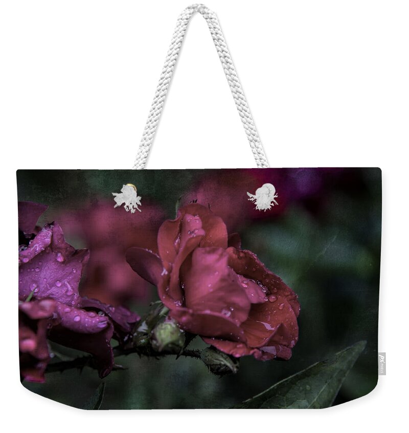 Evie Weekender Tote Bag featuring the photograph Rose in the Rain by Evie Carrier
