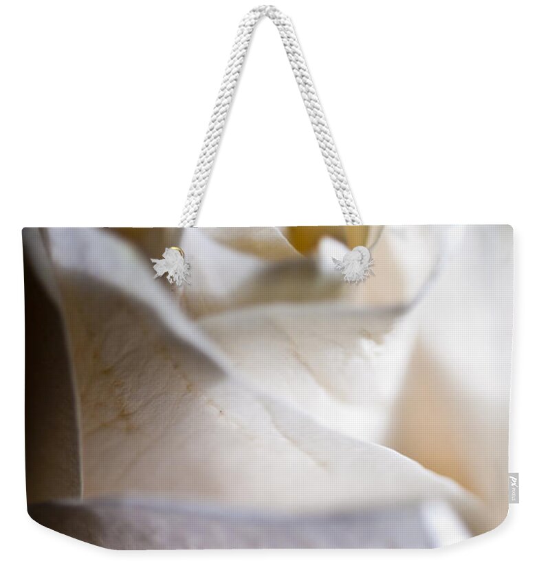 Rose Weekender Tote Bag featuring the photograph Rose of White 3 by Micah May