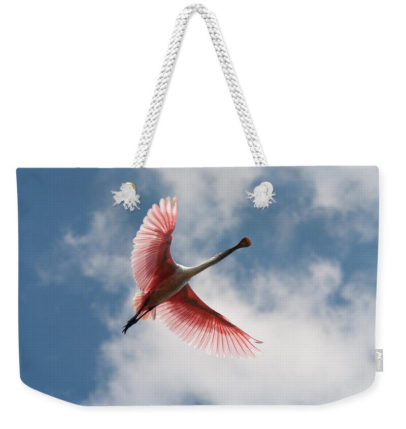 Roseate Weekender Tote Bag featuring the photograph Roseate Soaring by Paul Rebmann