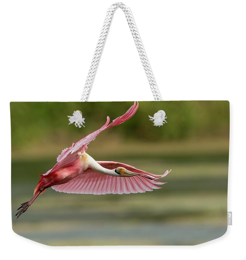 Animal Themes Weekender Tote Bag featuring the photograph Roseate Spoonbill In Flight by D Williams Photography