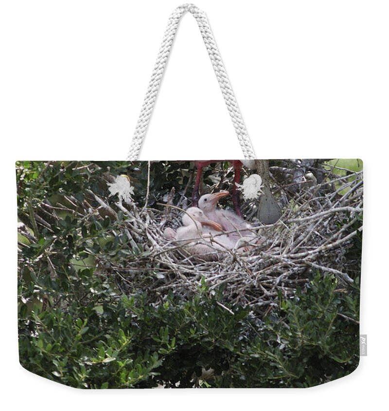 Animal Weekender Tote Bag featuring the photograph Roseate Spoonbill Nest by Gregory G. Dimijian