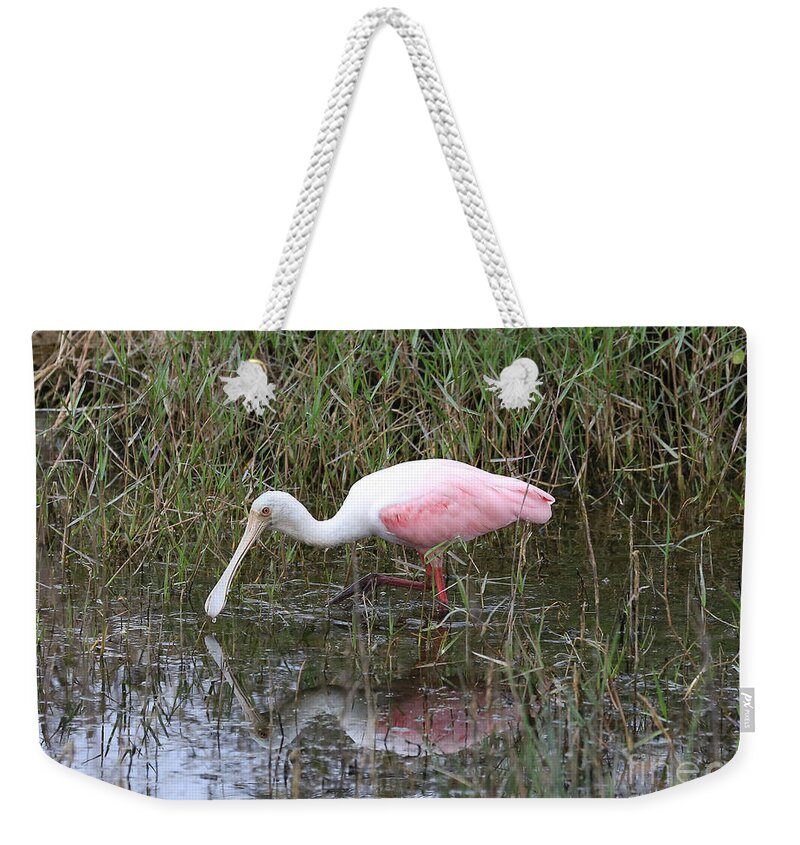 Roseate Spoonbill Weekender Tote Bag featuring the photograph Roseate Spoonbill Reflection by Carol Groenen