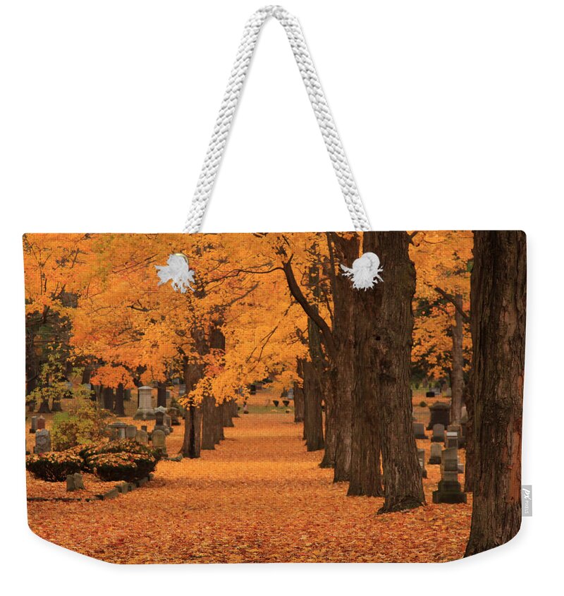 Autumn Foliage New England Weekender Tote Bag featuring the photograph Rows of Maples in orange by Jeff Folger