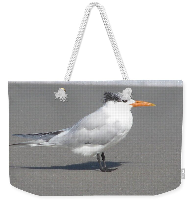 Landscape Weekender Tote Bag featuring the photograph Royal Tern Seafoam by Ellen Meakin