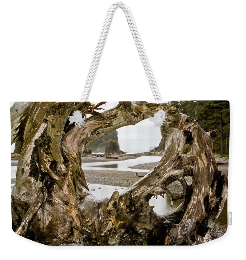 Ruby Beach Driftwood Iii Weekender Tote Bag featuring the photograph Ruby Beach Driftwood #3 by Greg Reed