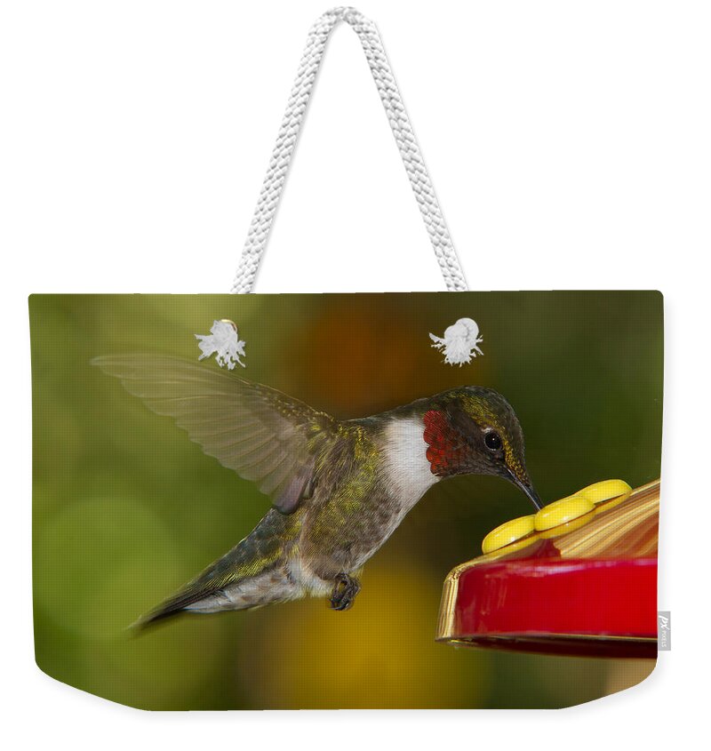 Ruby-throat Weekender Tote Bag featuring the photograph Ruby-Throat Hummer Sipping by Robert L Jackson