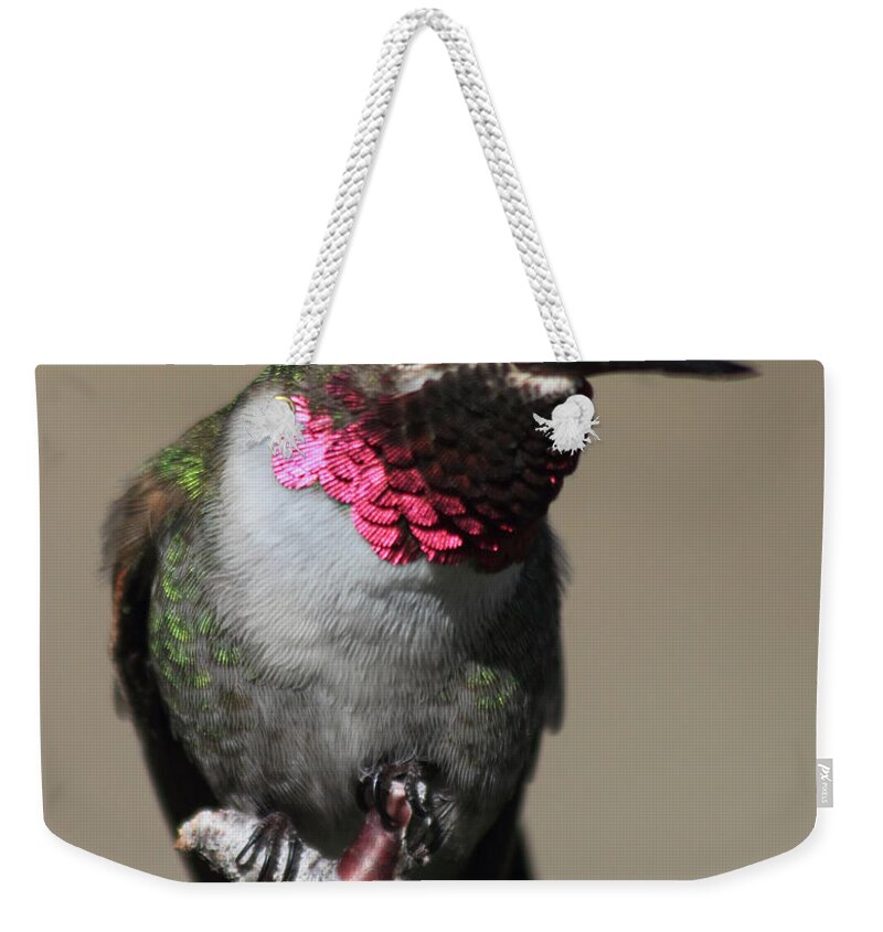 Ruby-throated Hummingbird Weekender Tote Bag featuring the photograph Ruby-Throated Hummer by Shane Bechler
