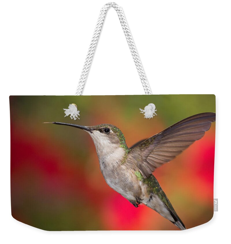 Ruby-throated Hummingbird Weekender Tote Bag featuring the photograph Ruby Throated Hummingbird by Dale Kincaid
