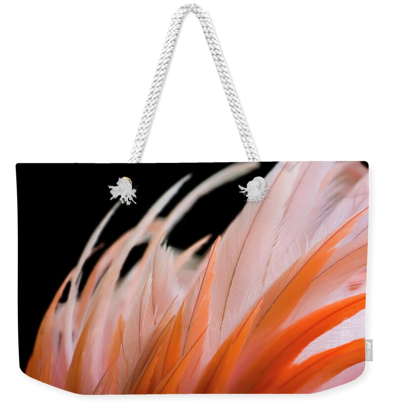 Orange Color Weekender Tote Bag featuring the photograph Ruffled Flamingo Feathers by Dean Fikar