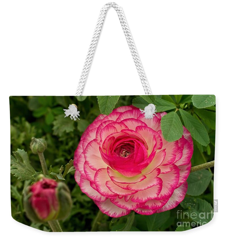 Pink Weekender Tote Bag featuring the photograph Ruffles by Peggy Hughes
