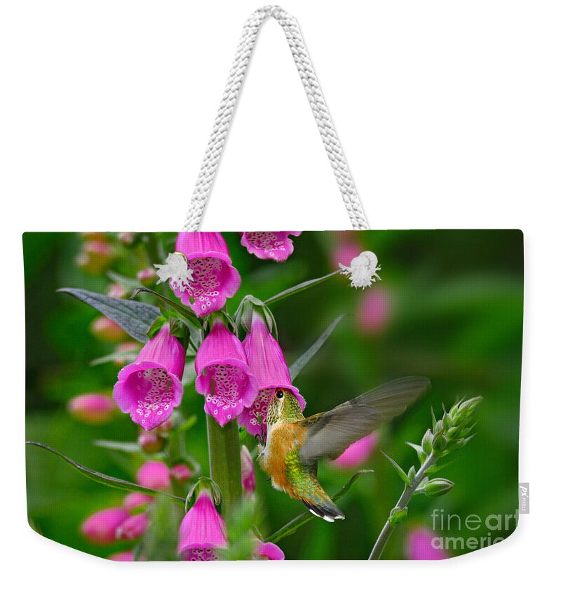 Animal Weekender Tote Bag featuring the photograph Rufous Hummingbird #1 by Thomas and Pat Leeson