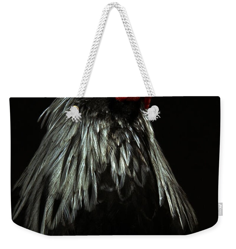 Brahma Bantam Weekender Tote Bag featuring the photograph Ruler of The Roost by Greg and Chrystal Mimbs