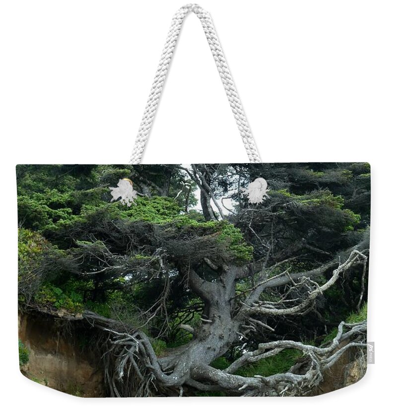 Newel Hunter Weekender Tote Bag featuring the photograph Running in Place by Newel Hunter