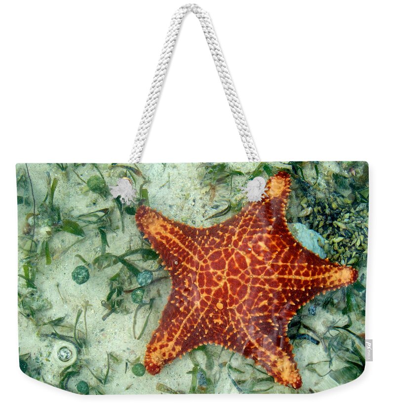 Caribbean Weekender Tote Bag featuring the photograph Running Starfish by Mary Lee Dereske