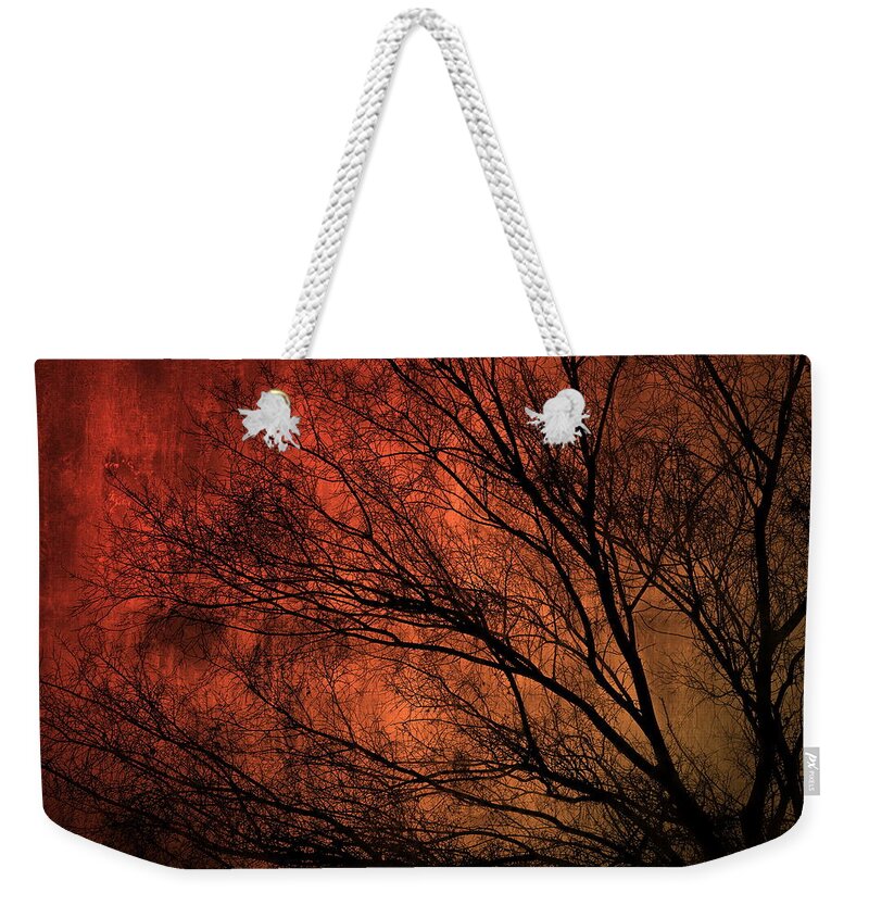 Tree Weekender Tote Bag featuring the photograph Running Wild by Mark Ross
