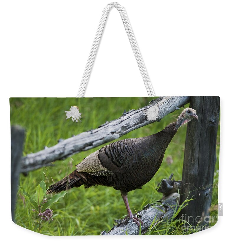 Festblues Weekender Tote Bag featuring the photograph Rural Adventure by Nina Stavlund