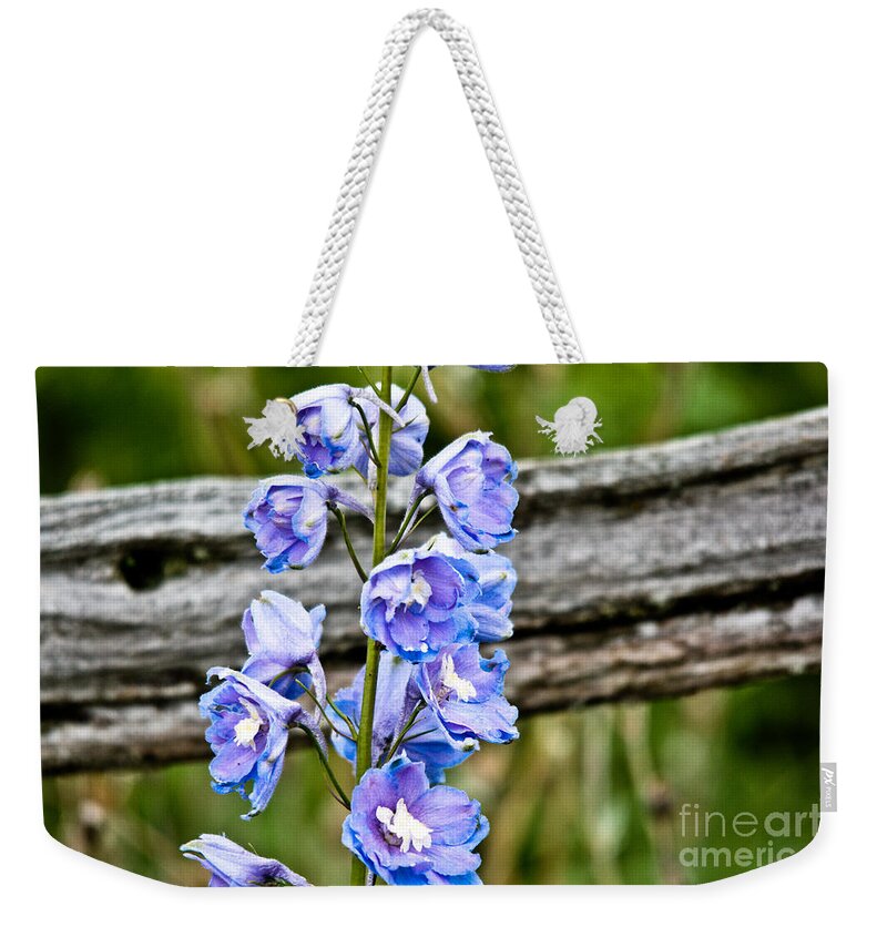  Weekender Tote Bag featuring the photograph Rustic Delphinium by Cheryl Baxter