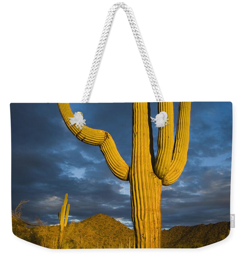 Feb0514 Weekender Tote Bag featuring the photograph Saguaro Cactus Arizona by Tom Vezo