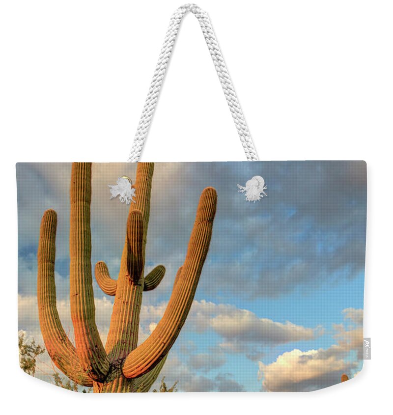 Saguaro Cactus Weekender Tote Bag featuring the photograph Saguaro National Park by Michele Falzone