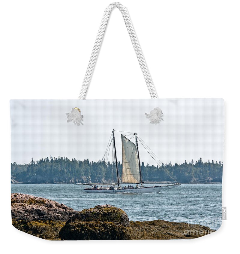  Weekender Tote Bag featuring the photograph Sailboat beauty by Cheryl Baxter