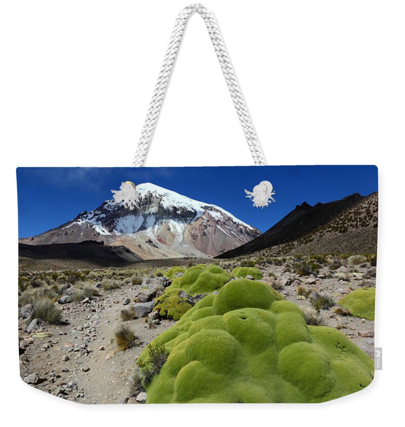Sajama Weekender Tote Bag featuring the photograph Sajama Volcano and Yareta Plant by James Brunker