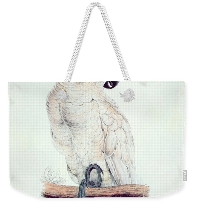 Exotic Weekender Tote Bag featuring the painting Salmon Crested Cockatoo by Edward Lear
