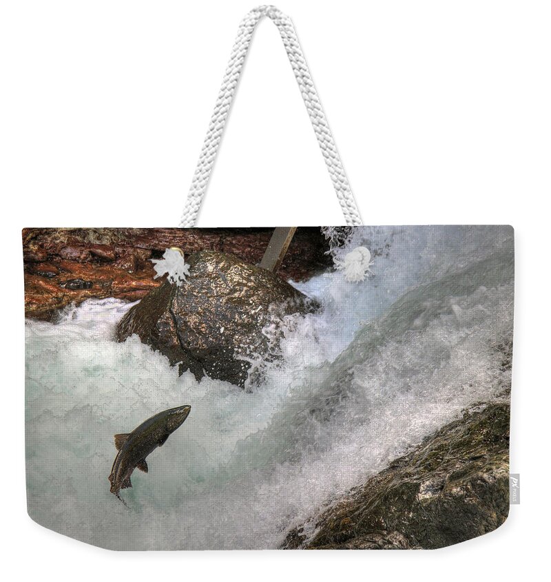 Salmon Weekender Tote Bag featuring the photograph Salmon Run by Randy Hall