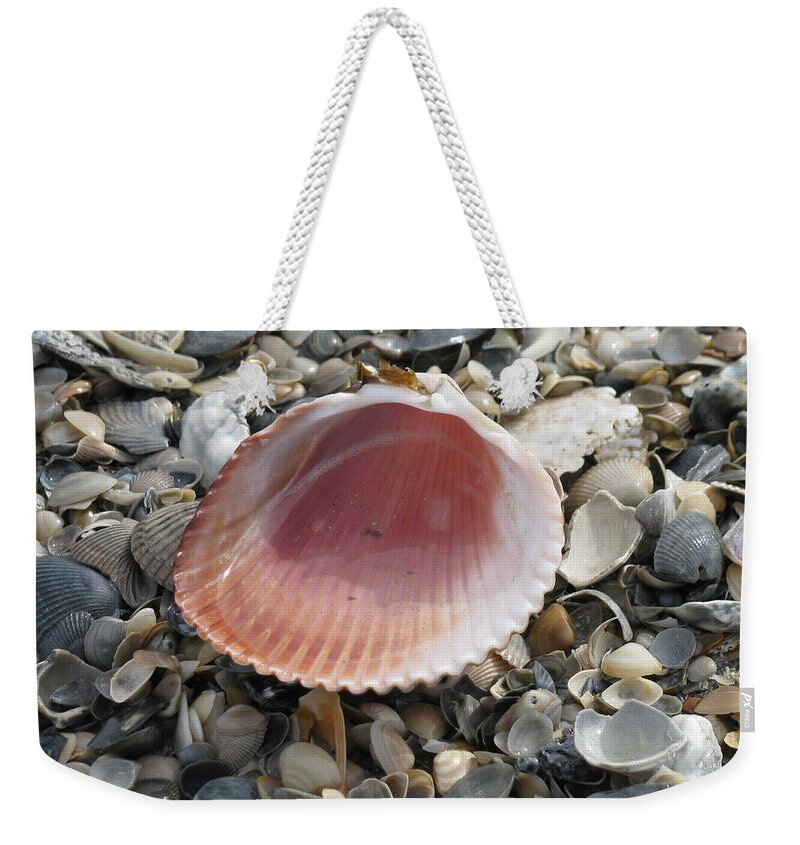Landscape Weekender Tote Bag featuring the photograph Salt Water Cockle by Ellen Meakin