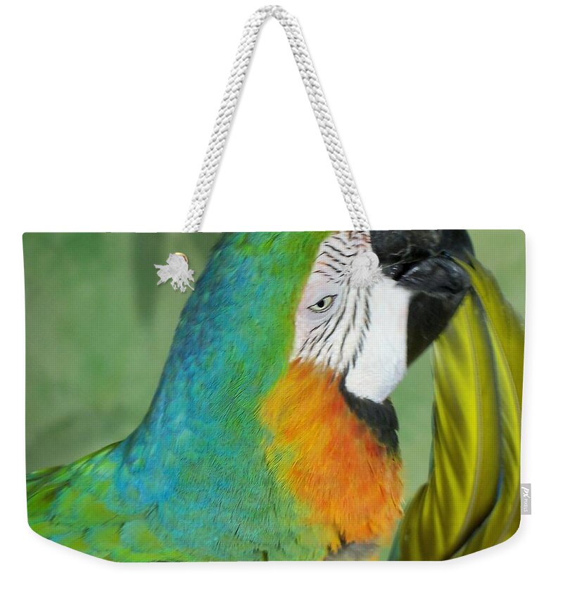 Exotic Birds Weekender Tote Bag featuring the photograph Salute I Am Blowing You A Kiss by Lingfai Leung