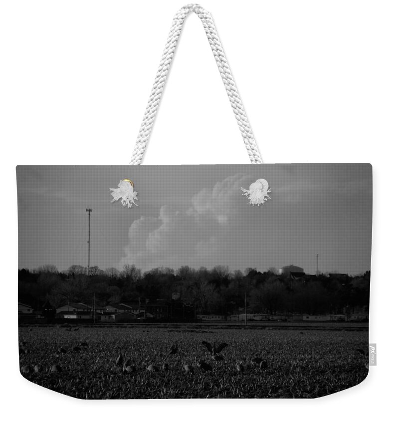 Stormscape Weekender Tote Bag featuring the photograph Sand Hill Cranes with Nebraska Thunderstorm by NebraskaSC