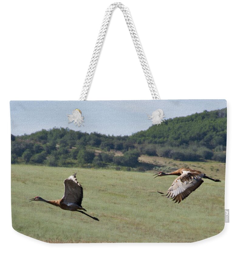 Weekender Tote Bag featuring the photograph Sand Hill Lift Off by Daniel Hebard