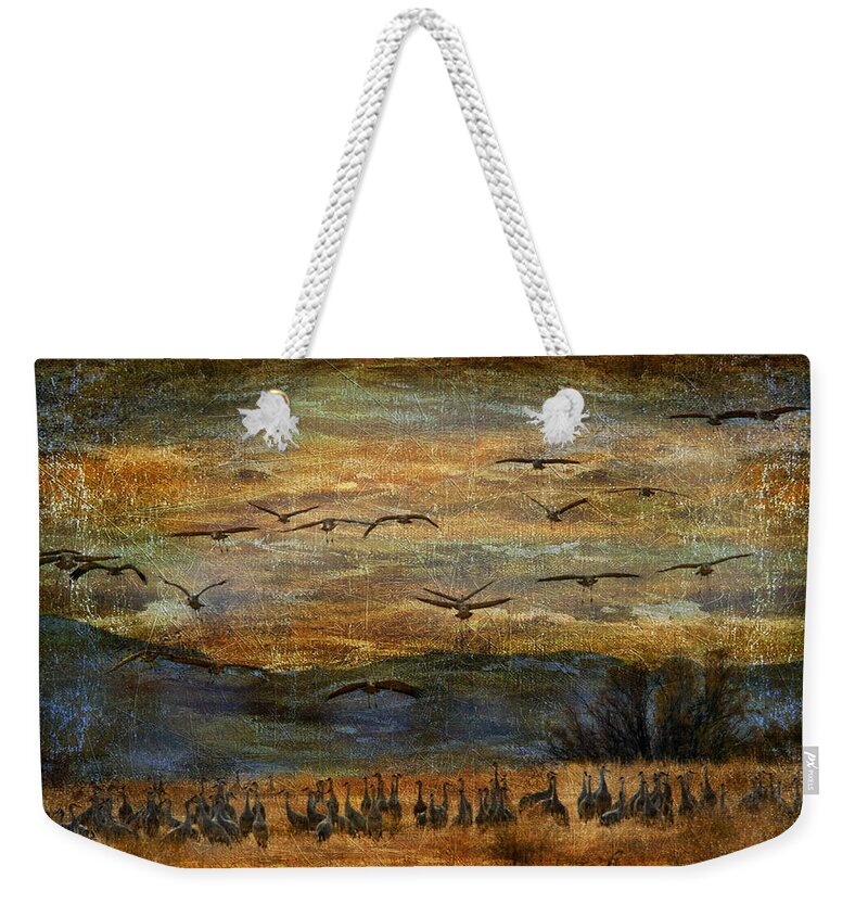Birds Weekender Tote Bag featuring the photograph Sandhill Cranes by Barbara Manis