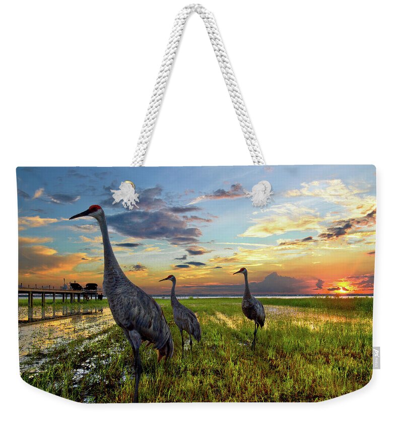 Belle Weekender Tote Bag featuring the photograph Sandhill Sunset by Debra and Dave Vanderlaan