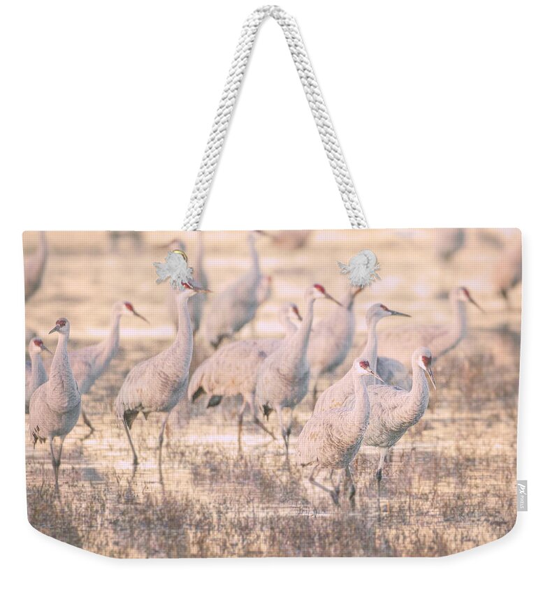 Cranes Weekender Tote Bag featuring the photograph Sandhills at sunset by Ruth Jolly