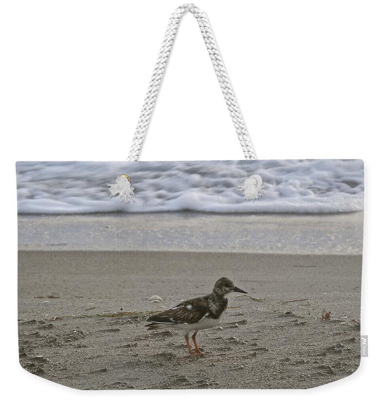 Morning Weekender Tote Bag featuring the photograph Sandpiper Posing by Joe Wyman